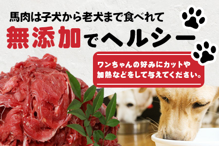 【定期便6回】ペット用 熊本加工 馬肉 切り落とし【 1kg ×6回配送 】 合計 6キロ ドッグ フード 無添加 無香料 ヘルシー 高栄養 馬刺し 冷凍 お肉専門店 熊本県 国内加工 041-050