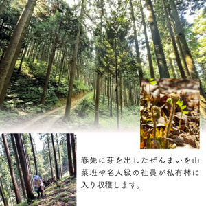 100%天然物 特上 干しぜんまい 120g 令和8年産 新物【2026年産 乾燥ぜんまい 干しぜんまい 天日干し 手もみ 乾物 新潟県 糸魚川市 山菜 ゼンマイ 能生 完全手作業 完全天日乾燥 笠原