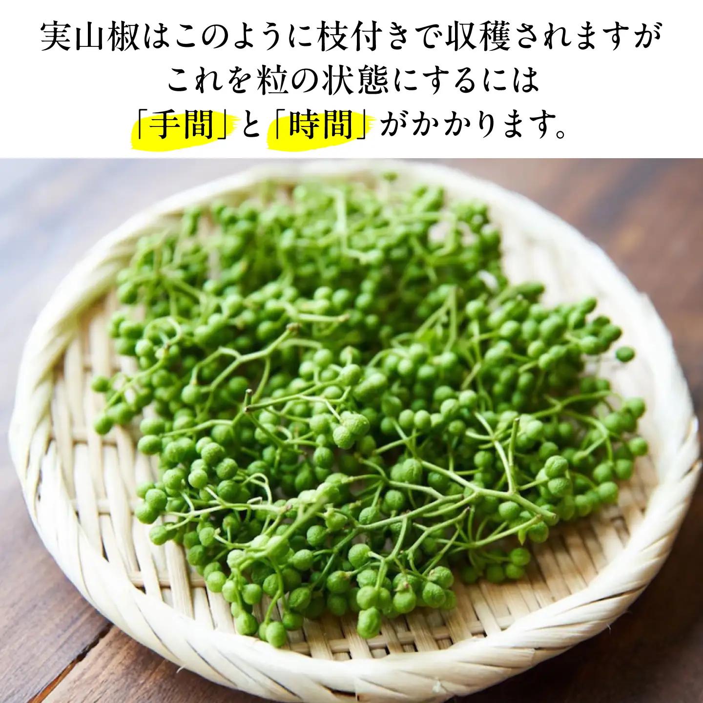 【佃煮の伊吹】青実山椒 300g [AQCA012]実山椒