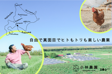 【全2回定期便】こだわりの無投薬･平飼い有精卵 25個《厚真町》【テンアール株式会社】 たまご 卵 鶏卵 玉子 生卵 平飼い 北海道 定期便[AXAN125]