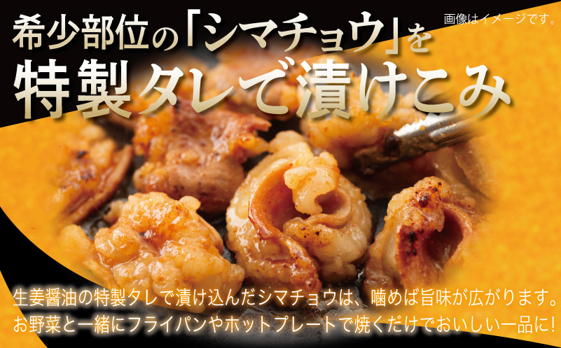 牛シマチョウ 焼肉用 タレ漬け 500g【味付け 小分け 250g×2P 焼くだけ 簡単調理 BBQ 牛肉 ホルモン お試し】 G3449