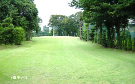 ゴルフ場利用券 白井ゴルフ林間ショートコース 土日1回プレー券 2名様分 白井市 ゴルフ場 お一人様でも回れるゴルフ場 おすすめ 体験 千葉 初心者歓迎 ショートコース ペアチケット 体験チケット