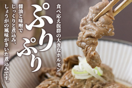 レンジ温めOK！高橋旅館 馬肉煮込＆馬ホルモン煮込 500g 各250g×1パック