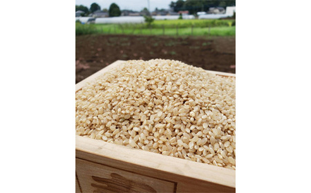 No.388 玄米　コシヒカリ5kg【令和5年産】