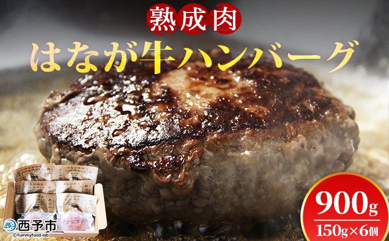 はなが牛100%ハンバーグ