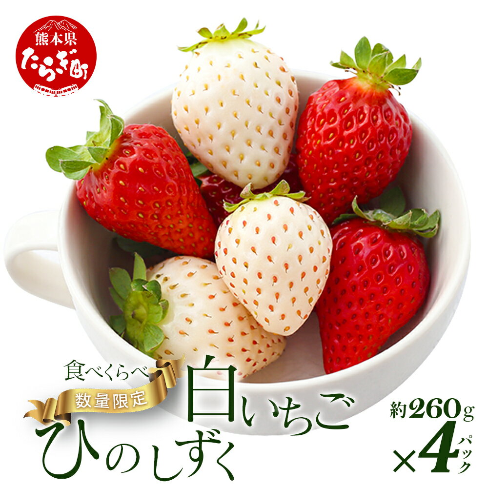 【ふるさと納税】 熊本県産 いちご【ひのしずく・白いちご】食べ比べセット約260g×4パック 2026年1月～発送 坂下農園 産地直送 国産 新鮮 フレッシュ イチゴ 苺 フルーツ 果物 春 名産 熊本 多良木町 旬 いちご フルーツ くだもの 果実 熊本県 多良木町 送料無料