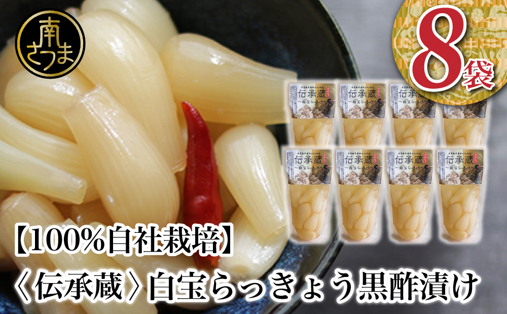 鹿児島県産 〈プレミアム〉伝承蔵〜白宝らっきょう黒酢漬け〜（90g×8P） 惣菜 らっきょう漬 らっきょう 漬物 黒酢 鹿児島 エスランドル 南さつま市