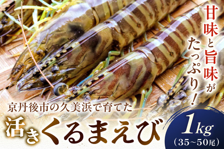 丹後の活きくるまえび 1kg（35～50尾） えび