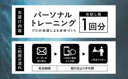 【お試し版】エボレラボ パーソナルトレーニング 1回分プロの指導による身体づくり(トレーニング：1回×約50分) 熊本県 菊陽町【エボレジャパン株式会社】[BHBC003]