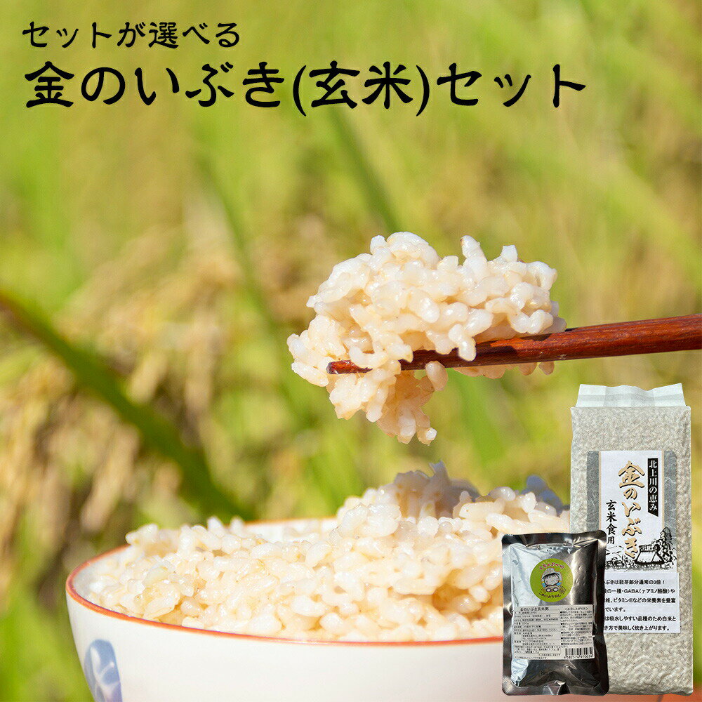 【ふるさと納税】玄米 宮城県産 金のいぶきセット 玄米 /お粥 おかゆ レトルトセットが選べる ヨシ腐葉土 宮城県 石巻市 げんまい 玄米粥 常温保存 お米 ごはん 14日以内