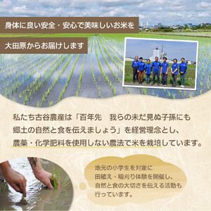 【令和7年産米 数量限定】古谷農産の無農薬・無化学肥料で栽培したコシヒカリ（玄米5キロ） ｜米 コメ  5kgコシヒカリ こしひかり 農家直送 産地直送 産直