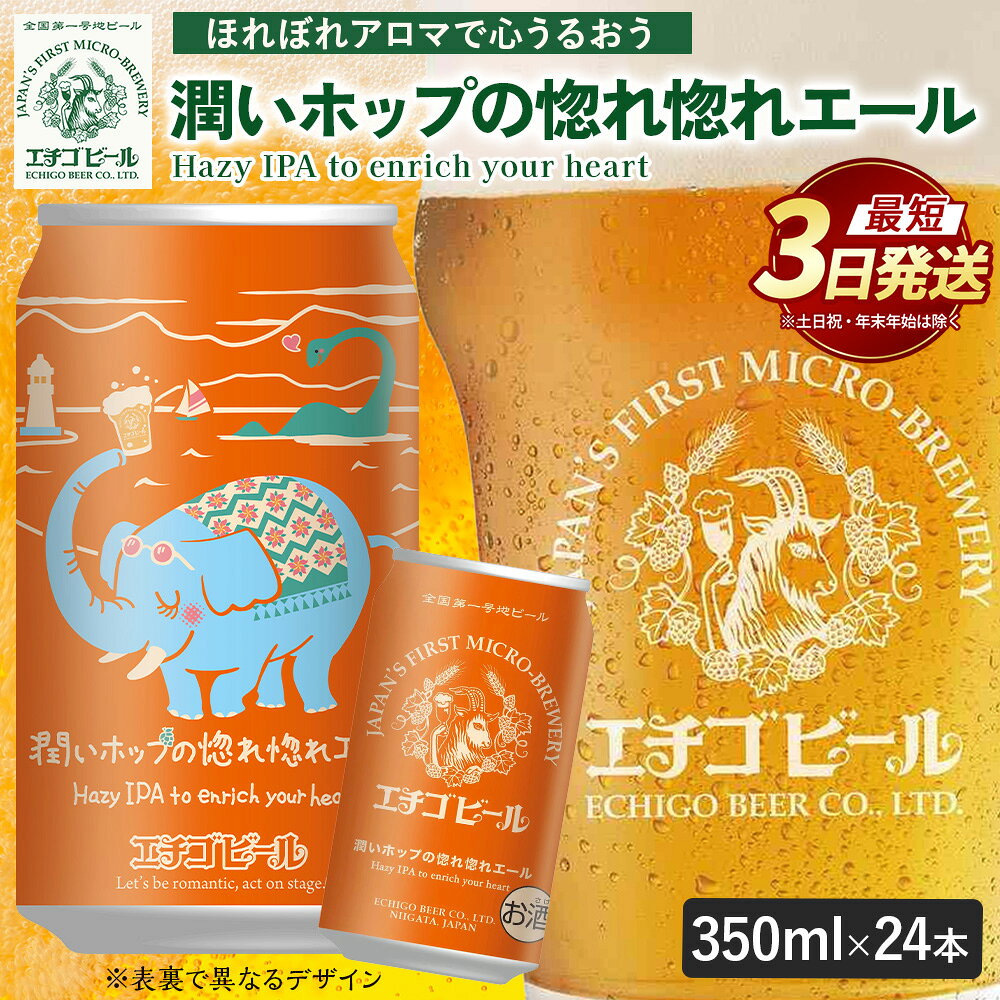 【ふるさと納税】【最短3日発送】エチゴビール 潤いホップの惚れ惚れエール 350ml 缶 24本 〔P-484〕 | ビール お酒 クラフトビール 地ビール アルコール 酒 お中元 お歳暮 ギフト 贈答 ラガー エール 晩酌 Beer 麦芽 ホップ 24缶 お取り寄せ おすすめ 人気 那須工場限定製造