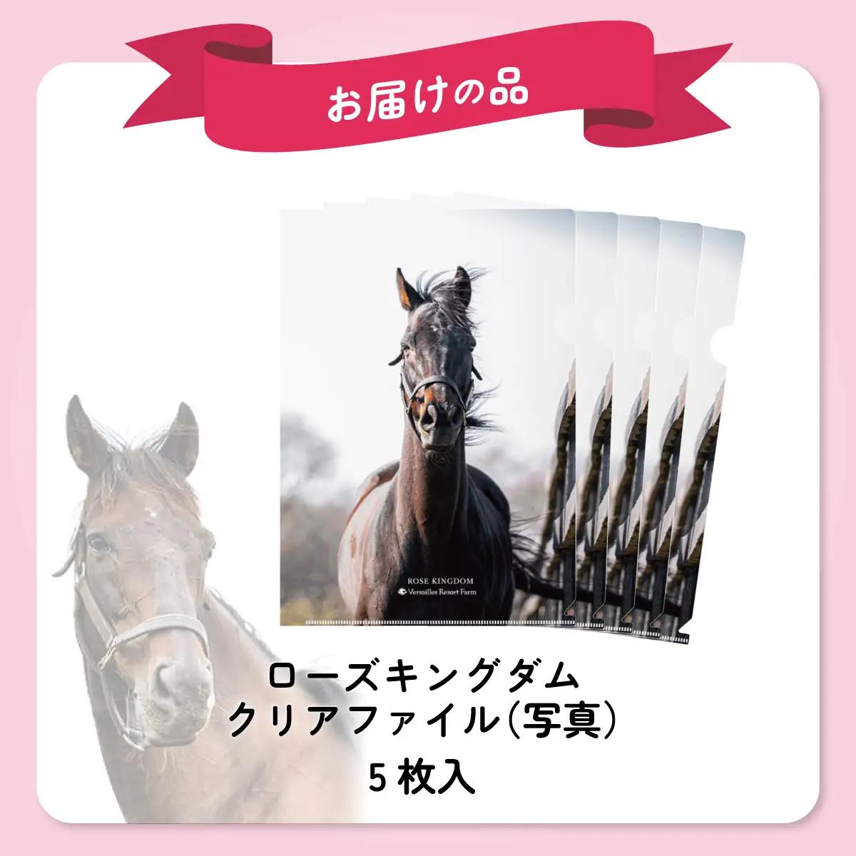 【ローズキングダム】クリアファイル 写真5枚入り BRTV255