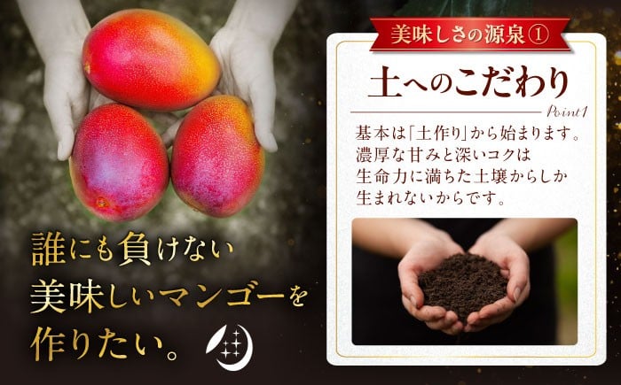 【 先行予約 2026年発送 】【訳あり】仲村農園の完熟アップルマンゴー 1kg マンゴー 2026 訳あり 沖縄 マンゴー 