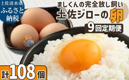 【ふるさと納税】土佐ジローの卵 定期便（12個入り×9回）もみ殻梱包 ブランド卵 タマゴ たまご 卵 毎月 定期コース 土佐ジロー 卵焼き 卵かけごはん 卵料理 送料無料 お取り寄せ【J00134】