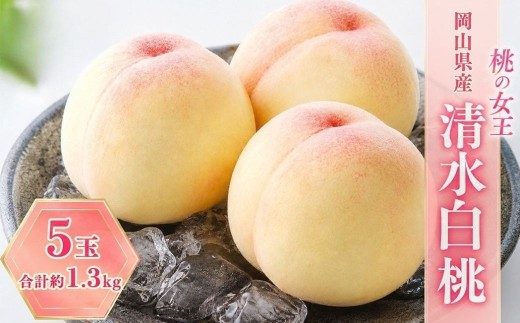 桃 2027年 先行予約 清水白桃 5玉 合計約1.3kg もも モモ 岡山県産 国産 フルーツ 果物 ギフト