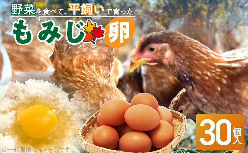 【医師監修】野菜を食べて育った平飼いの卵「もみじ卵」（30個入り）［154T02］もみじ卵 30個 もみじ 卵 赤玉 コク 採れたて 平飼い 玉子 卵焼き 目玉焼き サンドイッチ オムライス