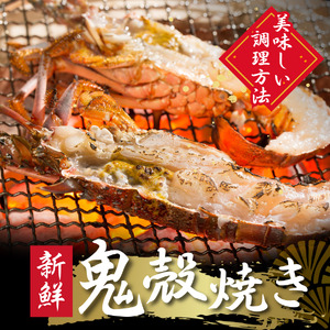 伊勢海老セット[C]　　【 伊勢海老 いせえび 】