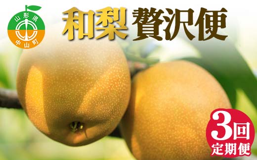 2025年先行受付 【定期便3回】和梨贅沢便 梨 なし 山形県 中山町 F4A-0491