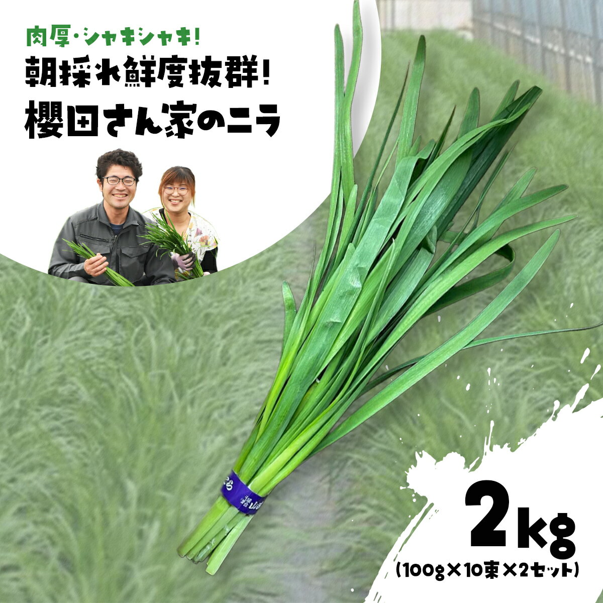 【ふるさと納税】【先行予約】【12月から発送】肉厚・シャキシャキ! 朝採れ鮮度抜群! 櫻田さん家のニラ 2kg(100g×10束×2セット) ふるさと納税 にら ニラ 朝採れ 新鮮 肉厚 シャキシャキ 農家直送 鮮度抜群 千葉県 山武市 送料無料 SMCS002