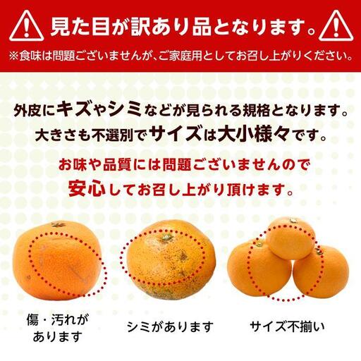 和歌山県産 糖度9.5度 以上 訳あり みかん 7kg 傷み補償+200g 3S ～ 2Ｌサイズ混合【MG58】