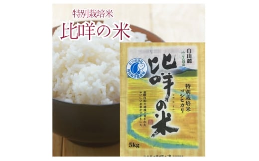 特別栽培米　ヒメの米(白山麓コシヒカリ)精米5kg【1596858】