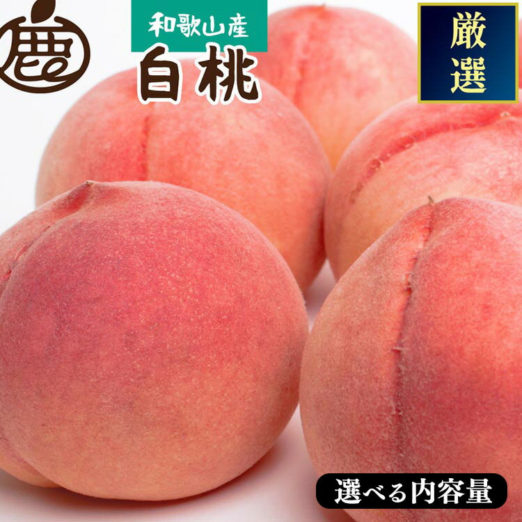 【ふるさと納税】【選べる内容量！】和歌山の厳選白桃 約0.75kg・約1.5kg・約2kg・4kg【化粧箱入り】 ｜ 桃 白鳳 清水白桃 川中島 もも はくとう ※北海道・沖縄・離島への配送不可 ※2025年7月上旬～7月下旬頃に順次発送予定