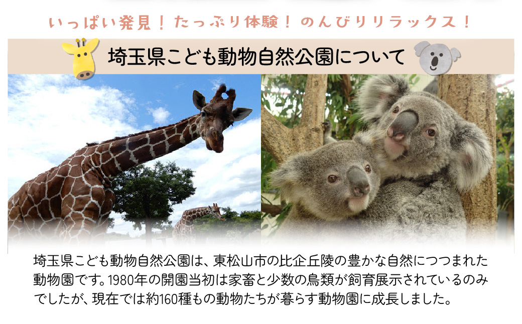 埼玉県こども動物自然公園 年間パスポート引換券 小人2名 | 動物園 年パス 子ども 子供 家族 ファミリー コアラ クオッカ カンガルー ペンギン 自然 小学生 年間利用 イベント アウトドア 入場
