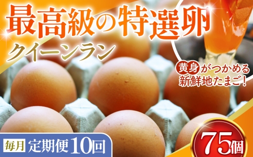 【毎月定期便】黄身がつかめる新鮮地たまご クイーンラン 赤玉 75個入り全10回 ／ 卵 毎月発送 定期便 新鮮卵 卵かけご飯 TKG 濃厚卵 黄身 弾力卵 生卵 卵料理 大容量 卵まとめ買い 新鮮食材 朝食食材 料理食材 家庭用卵 No.595