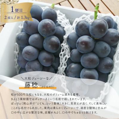 ふるさと納税 津山市 【発送月固定定期便】【2026年先行予約】大きな藤稔とシャインマスカットの満足2回便!全2回 |  | 01