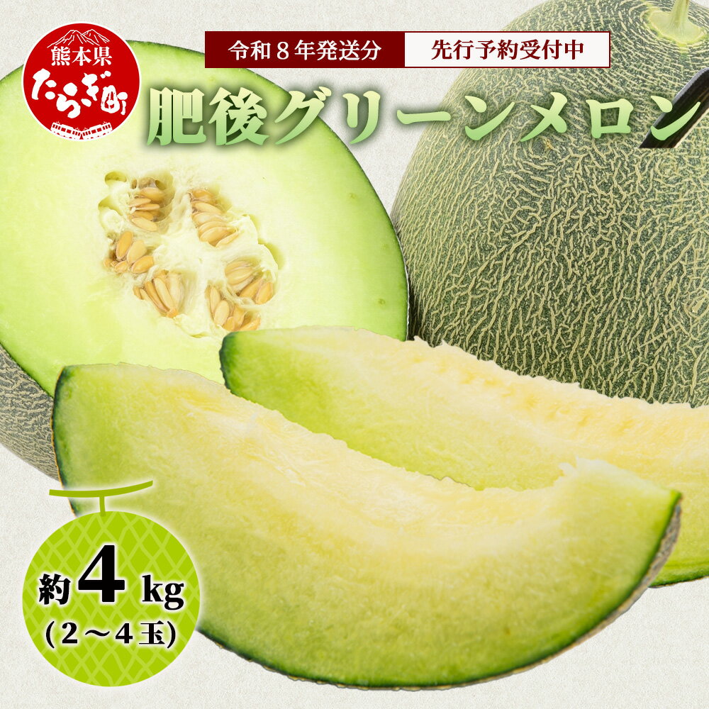 【ふるさと納税】《2026年発送分 先行予約》 肥後グリーンメロン 2玉〜4玉 合計 約4kg 肥後グリーン メロン 甘い 果物 フルーツ 果実 ジュージー 国産 熊本県産 熊本県 多良木町 送料無料