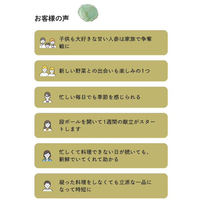 【定期便】ご家庭向けお野菜セット～旬のおまかせBOX～毎月12回分（1年間）_イメージ5