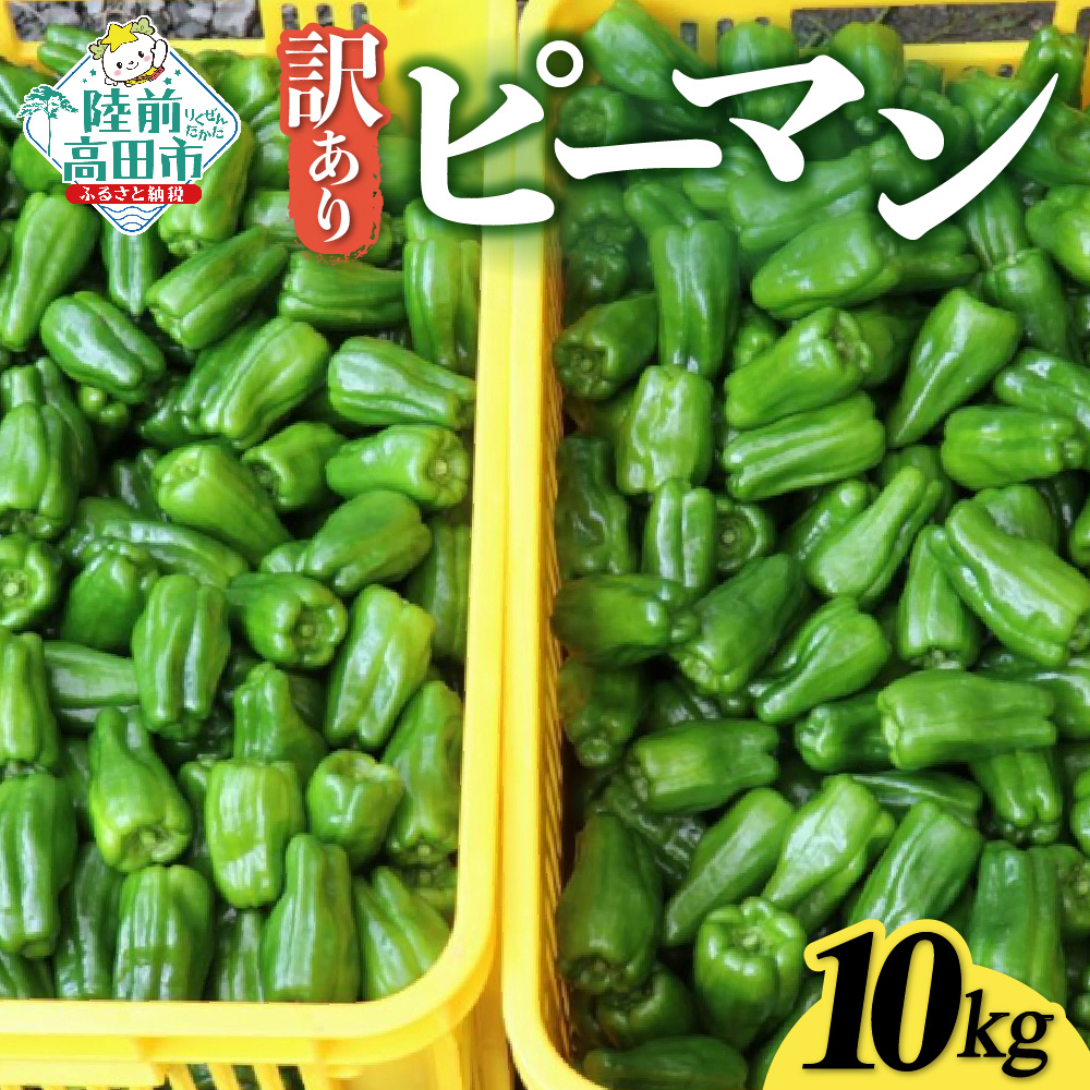 先行予約 訳あり 規格外 ピーマン 約10kg 【 不揃い 産地直送 新鮮 料理 野菜 大容量 岩手県 陸前高田市 Farm Koganeyama 】 RT2724