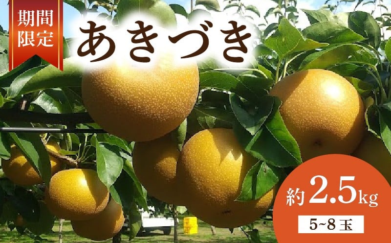 
            【 数量限定 】 梨 あきづき  約 2.5kg 5玉～8玉 なし 旬 和梨 千葉県産 国産 2025年 9月～発送 果物 フルーツ くだもの 果汁 甘み 甘い 糖度 酸味 旬の梨 秋 季節の果物 デザート 産地直送 新鮮 鮮度 厳選 ふるさと納税 産地 送料無料 千葉県 千葉 旭市 旭市産 齋藤園 ste002
          