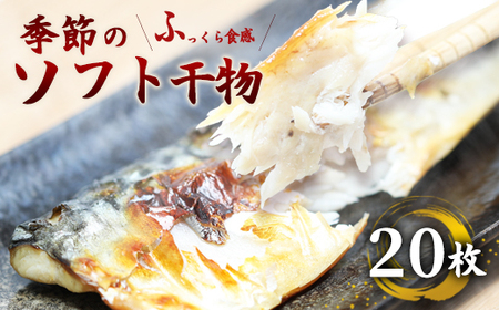 おまかせ干物セット 20枚 干物セット お任せ干物 干物 干物ギフト