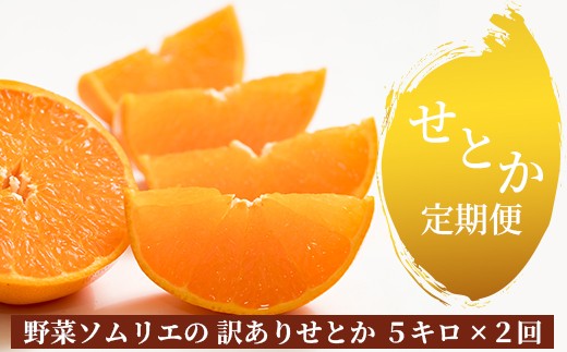 
            野菜ソムリエ石児さんの訳ありせとか２回定期便（5キロ×2回） ミカン みかん 蜜柑 柑橘 5kg 柑橘類 せとか 訳あり フルーツ 定期便  2回 チョイス限定 2月発送 3月発送 先行予約 ＜103-807＞
          