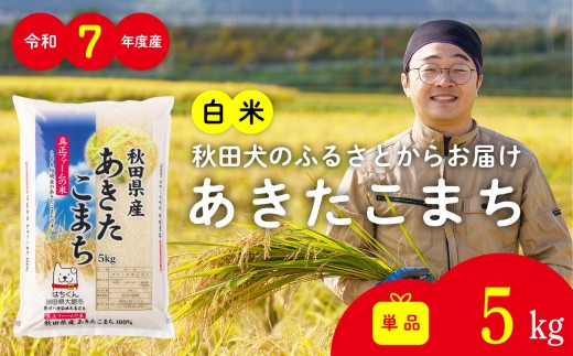 令和7年産秋田県産あきたこまち(白米)5kg　/ 米 白米 5kg 令和7年産 秋田県産 あきたこまち 5kg×1袋 おにぎり 大館 東北 秋田 小分け こわけ 大館市 5キロ 5ｷﾛ 5きろ【40P051002-T-01-5】