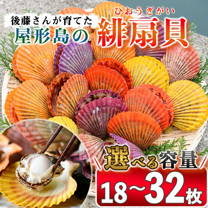 【ふるさと納税】＜内容量が選べる＞緋扇貝 (計18枚・計32枚) 海鮮 ヒオウギ貝 BBQ バーベキュー 炭火焼 酒蒸し ご当地 国産 佐伯市産 屋形島で後藤さんが育てた緋扇貝【AX61・AX63】【後藤緋扇養殖販売】