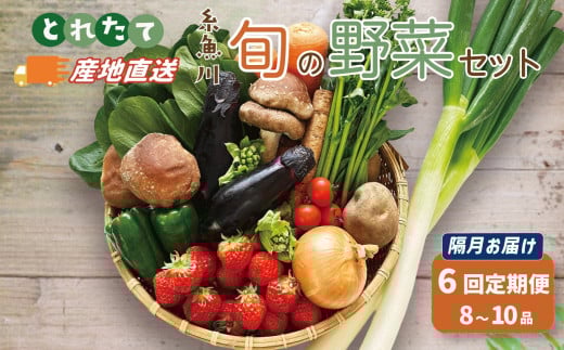 直売所からお届け! 旬の野菜セット【隔月6回お届け】（8～10品詰め合わせ）新鮮な野菜直送 定期便【大根･白菜･春菊･アスパラ菜･しいたけ･ほうれん草･ふきのとう･タラの芽･山菜･にんじん･イチゴ･トマト･きゅうり･ピーマン･ジャガイモ･玉ねぎ･オクラ･枝豆･トウモロコシ･なす･生きくらげ･長ネギ･サツマイモ･里芋】