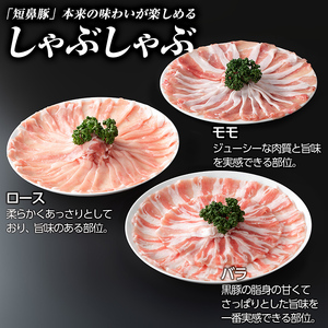 a039 鹿児島黒豚「短鼻豚」しゃぶしゃぶセット計1kg(ロース肉・バラ肉・モモ肉)【鹿児島ますや】姶良市 国産 鹿児島県 肉 豚 豚肉 黒豚 スライス しゃぶしゃぶ セット 小分け 食べ比べ