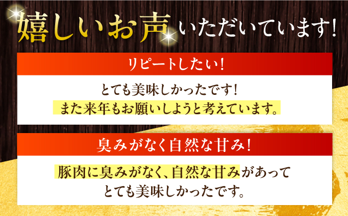 【全12回定期便】放牧豚 ローストポーク 2個（250g/個） 《厚真町》【ファーマーズファクトリー株式会社】 味付き 豚 肉 豚肉 ハム 焼き豚 ロース ロース肉 冷凍配送 北海道[AXBA037]