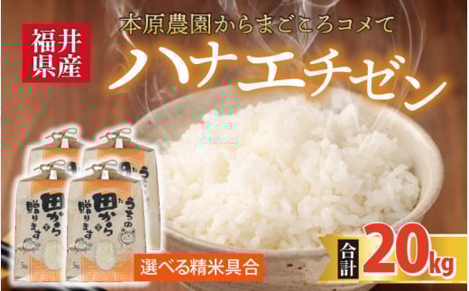 【先行予約】【令和8年産・新米】 ハナエチゼン20kg(5kg×4袋) ～本原農園からまごころコメて～（白米）【2026年9月上旬以降発送予定】 [E-8910]