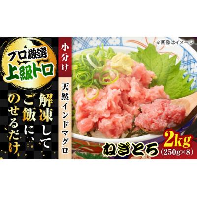 ふるさと納税 横須賀市 天然 インドまぐろ たたき 約2kg(250g×8パック) 小分け 冷凍 |  | 01