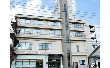 雲南市　ホテル上代　宿泊チケット（1名様/1泊素泊り） | ホテル 上代 宿泊チケット 1名様 1泊 島根県雲南市/有限会社上代 [AICX002]