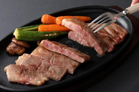 【おおいた和牛】サーロイン・ヒレステーキ（各2枚・計4枚）｜ 肉質4等級以上 こだわりの逸品 【お肉 牛肉 肉 にく 牛 おおいわ和牛 サーロイン ステーキ ヒレ フィレステーキ ヒレ肉 お取り寄せ 