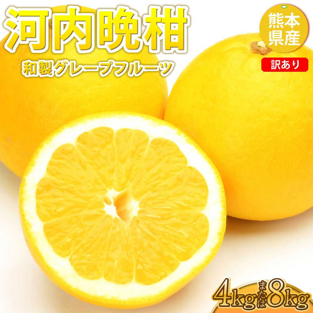 【ふるさと納税】【2025年3月下旬から2025年7月下旬発送予定】訳あり 河内晩柑 約4kg または 8kg 晩柑 柑橘 ばんかん 株式会社Foody's オレンジ みかん ミカン