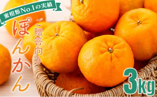 
            「先行予約」東洋町の完熟ポンカン＜3kg＞　U107
          