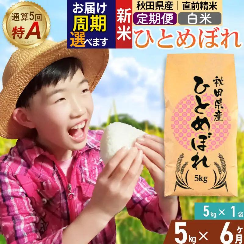 《令和8年産 新米受付》《定期便6ヶ月》【白米】通算5回特A 秋田県産ひとめぼれ 5kg(5kg×1袋)×6回  お届け周期調整 隔月に調整OK お米 米 こめ 藤岡農産