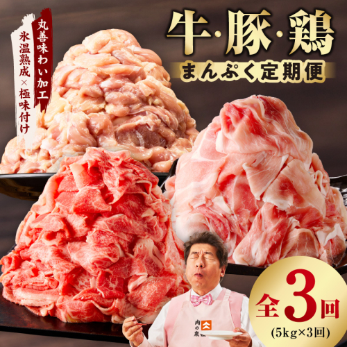 国産 牛肉＆豚肉＆鶏肉 まんぷく 定期便 5kg×3回【氷温熟成×極味付け 3種 食べ比べ 普段使い 味付き 小分け 訳あり サイズ不揃い】 mrzZ020