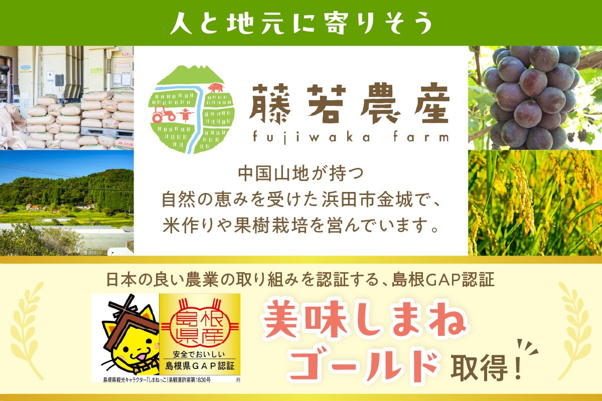 【令和7年産】浜田市金城町産【おぐに米】5kg【定期便】（6回コース） 【071_2074】